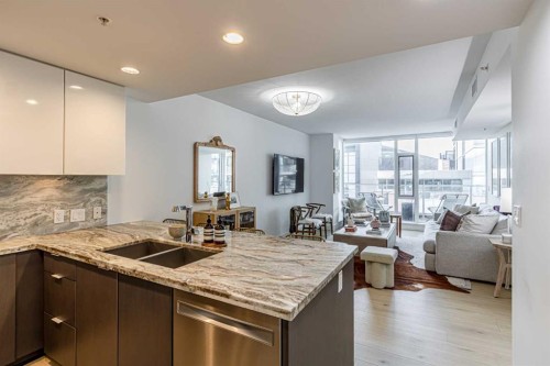 205-519 Riverfront Avenue Se, Calgary, AB - Indoor Photo Showing Kitchen With Double Sink