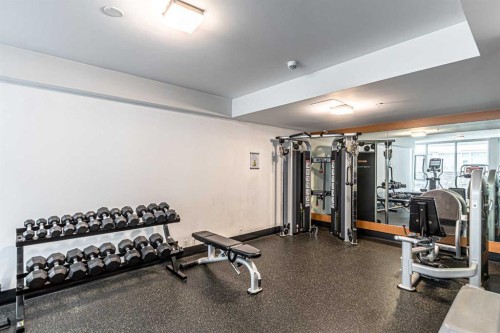 205-519 Riverfront Avenue Se, Calgary, AB - Indoor Photo Showing Gym Room