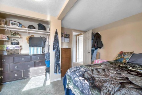 427 Cole Crescent, Carseland, AB - Indoor Photo Showing Bedroom