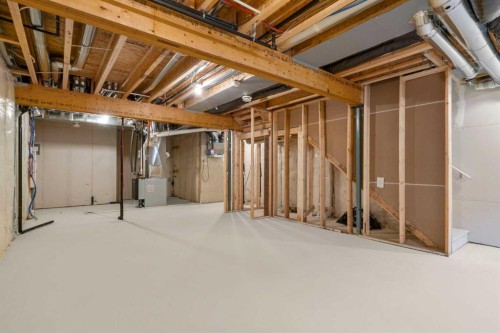 659 Buffaloberry Manor Se, Calgary, AB - Indoor Photo Showing Basement