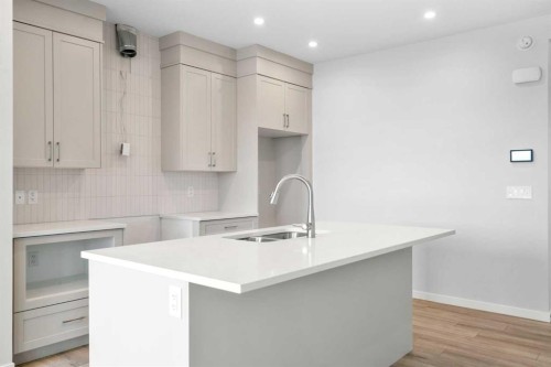 659 Buffaloberry Manor Se, Calgary, AB - Indoor Photo Showing Kitchen With Double Sink