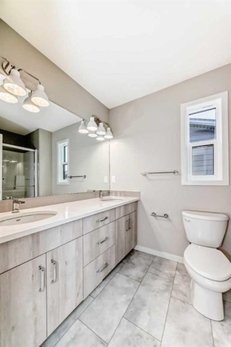 123 Sawgrass Gate Nw, Airdrie, AB - Indoor Photo Showing Bathroom