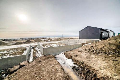 123 Sawgrass Gate Nw, Airdrie, AB - Outdoor