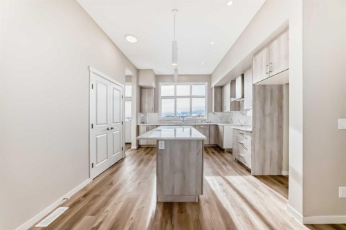 123 Sawgrass Gate Nw, Airdrie, AB - Indoor Photo Showing Kitchen With Upgraded Kitchen