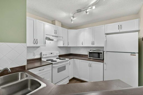 4316-10 Prestwick Bay Se, Calgary, AB - Indoor Photo Showing Kitchen With Double Sink