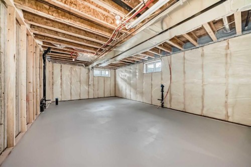 103 Sawgrass Gate Nw, Airdrie, AB - Indoor Photo Showing Basement
