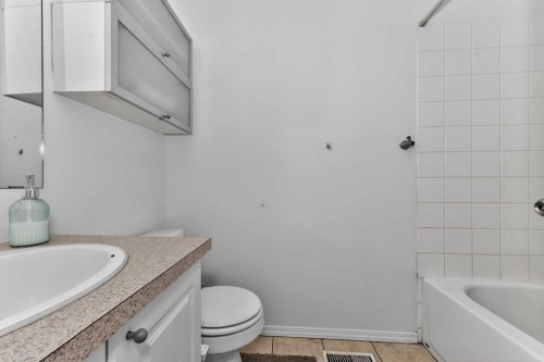 247 Taracove Estate Drive Ne, Calgary, AB - Indoor Photo Showing Bathroom