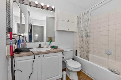 247 Taracove Estate Drive Ne, Calgary, AB - Indoor Photo Showing Bathroom