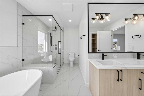 3 Lakewood Point, Strathmore, AB - Indoor Photo Showing Bathroom