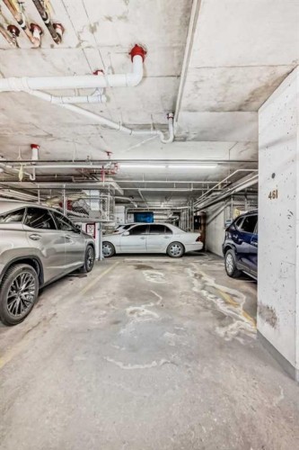 303-369 Rocky Vista Park Nw, Calgary, AB - Indoor Photo Showing Garage
