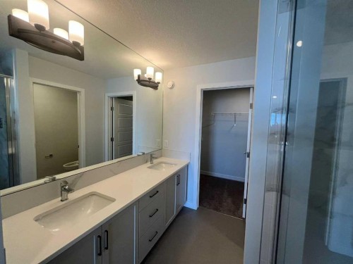 229 Edith Road Nw, Calgary, AB - Indoor Photo Showing Bathroom