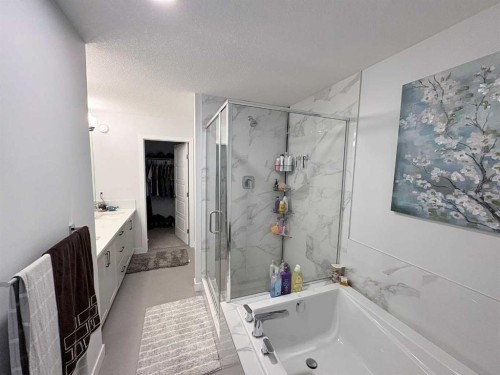 229 Edith Road Nw, Calgary, AB - Indoor Photo Showing Bathroom
