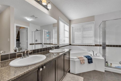 31 Walden Court Se, Calgary, AB - Indoor Photo Showing Bathroom
