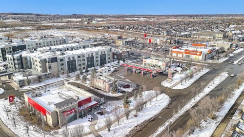 31 Walden Court Se, Calgary, AB - Outdoor