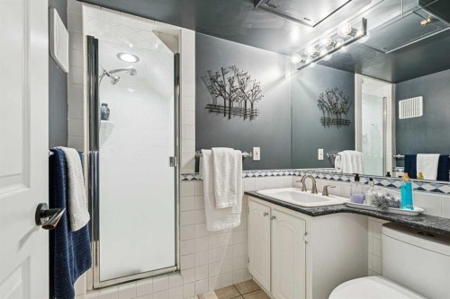 8 Vardana Place Nw, Calgary, AB - Indoor Photo Showing Bathroom