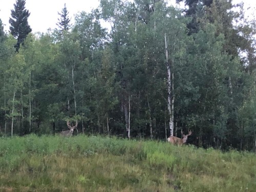 105 Riviera Crescent, Cochrane, AB - Outdoor With View