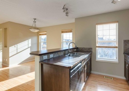 236 Silverado Drive Sw, Calgary, AB - Indoor Photo Showing Kitchen With Double Sink
