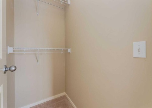 236 Silverado Drive Sw, Calgary, AB - Indoor With Storage