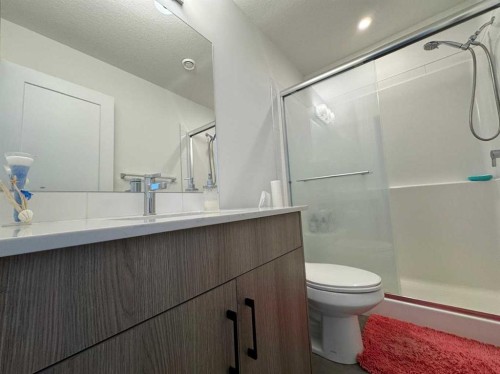 1207-55 Lucas Nw, Calgary, AB - Indoor Photo Showing Bathroom