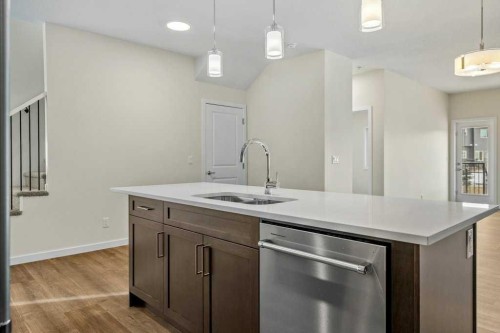 136 Wolf Hollow Manor Se, Calgary, AB - Indoor Photo Showing Kitchen With Double Sink