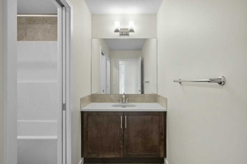 136 Wolf Hollow Manor Se, Calgary, AB - Indoor Photo Showing Bathroom