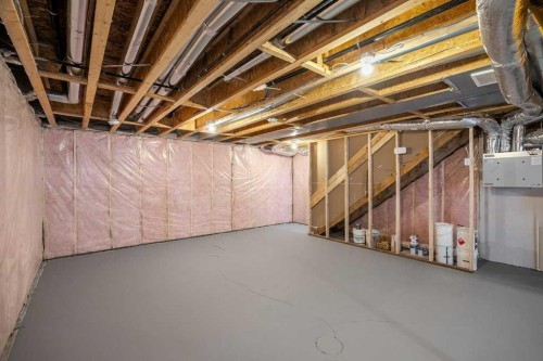 136 Wolf Hollow Manor Se, Calgary, AB - Indoor Photo Showing Basement