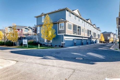217 Panatella Walk Nw, Calgary, AB - Outdoor
