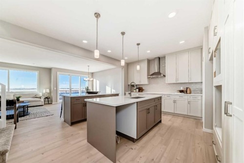 58 Walgrove Bay Se, Calgary, AB - Indoor Photo Showing Kitchen With Upgraded Kitchen