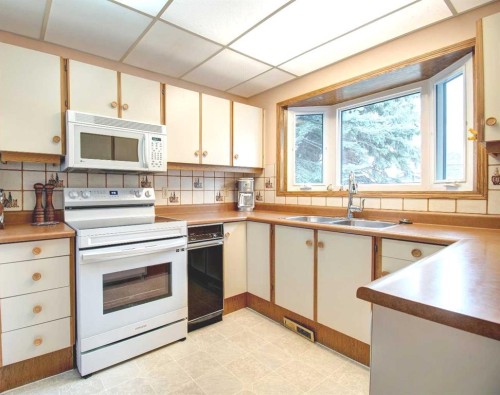 487 Arlington Drive Se, Calgary, AB - Indoor Photo Showing Kitchen With Double Sink