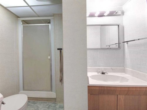 487 Arlington Drive Se, Calgary, AB - Indoor Photo Showing Bathroom