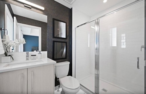 552 Lewisburg Place Ne, Calgary, AB - Indoor Photo Showing Bathroom