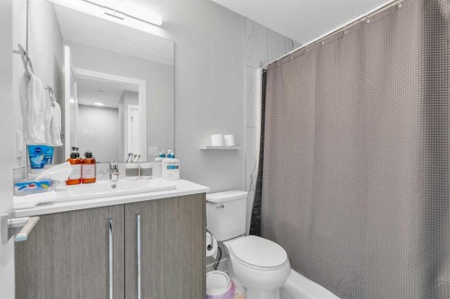 1713 Cornerstone Boulevard Ne, Calgary, AB - Indoor Photo Showing Bathroom