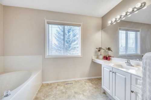 249 Mt.Douglas Circle Se, Calgary, AB - Indoor Photo Showing Bathroom