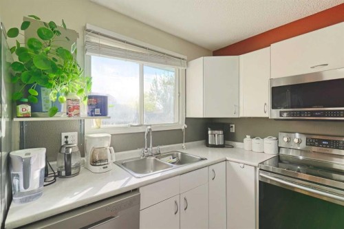 20 Falton Way Ne, Calgary, AB - Indoor Photo Showing Kitchen With Double Sink