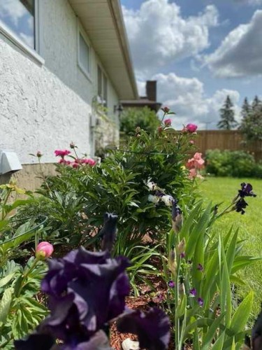 6311 Pineridge Road Ne, Calgary, AB - Outdoor