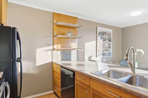 6-99 Grier Place Ne, Calgary, AB - Indoor Photo Showing Kitchen With Double Sink