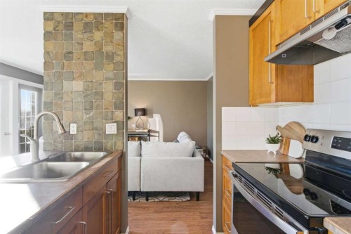 6-99 Grier Place Ne, Calgary, AB - Indoor Photo Showing Kitchen With Double Sink