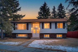 6507 Temple Drive NE Calgary, AB T1Y 4R4