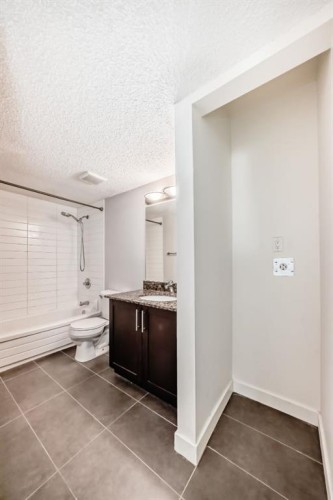 302-4455A Greenview Drive Ne, Calgary, AB - Indoor Photo Showing Bathroom
