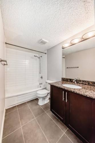 302-4455A Greenview Drive Ne, Calgary, AB - Indoor Photo Showing Bathroom