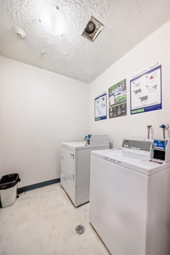 302-4455A Greenview Drive Ne, Calgary, AB - Indoor Photo Showing Laundry Room