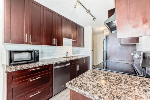 302-4455A Greenview Drive Ne, Calgary, AB - Indoor Photo Showing Kitchen With Double Sink
