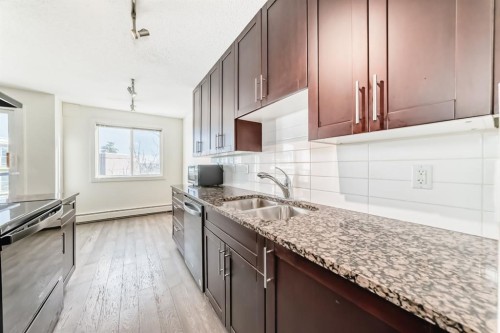 302-4455A Greenview Drive Ne, Calgary, AB - Indoor Photo Showing Kitchen With Double Sink With Upgraded Kitchen