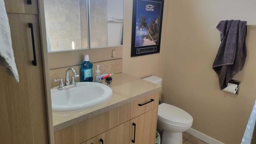 1908 Olympia Drive Se, Calgary, AB - Indoor Photo Showing Bathroom