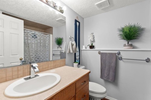 25 Park Place, Didsbury, AB - Indoor Photo Showing Bathroom
