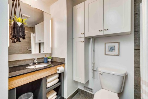 206 5 Avenue Se, Three Hills, AB - Indoor Photo Showing Bathroom