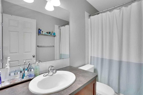 73 Covebrook Place Ne, Calgary, AB - Indoor Photo Showing Bathroom
