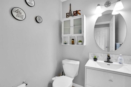 73 Covebrook Place Ne, Calgary, AB - Indoor Photo Showing Bathroom