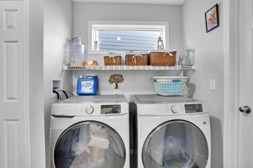 73 Covebrook Place Ne, Calgary, AB - Indoor Photo Showing Laundry Room