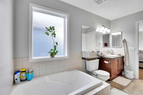 73 Covebrook Place Ne, Calgary, AB - Indoor Photo Showing Bathroom